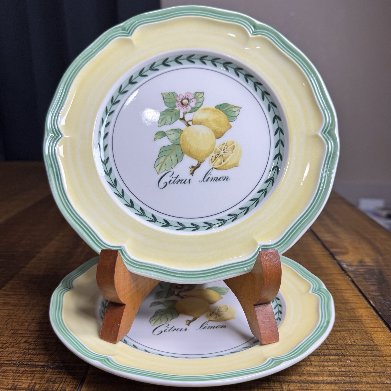 Villeroy & Boch French Garden Citrus Limon Salad Plate 8\ Villeroy & Boch French Garden Citrus Limon Salad Plate 8\