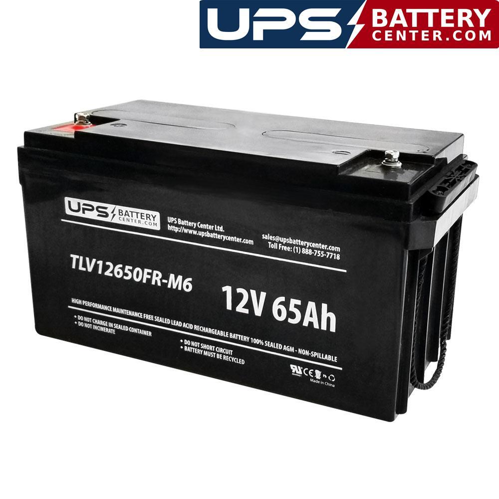 NPP Power NP12-60Ah 12V 65Ah M6 Replacement Battery