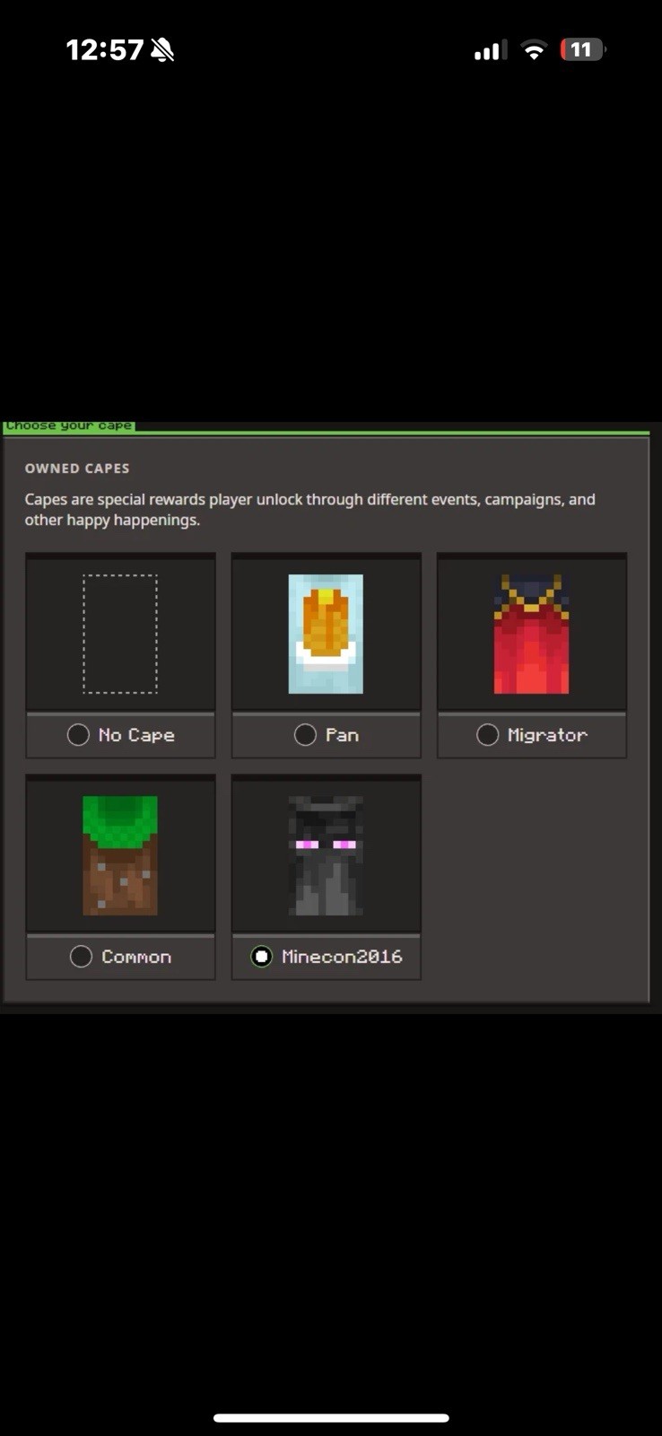 Minecraft Minecon 2016 Cape Account RARE Full LIFETIME Access. disc-Lumpish.