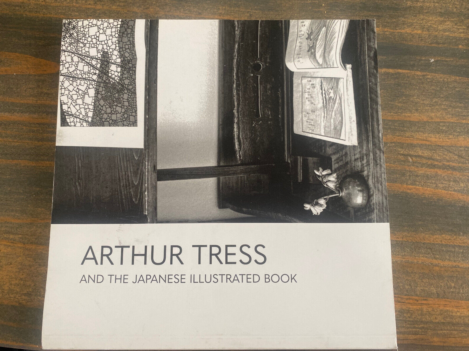 Arthur Tress and the Japanese Illustrated Book Paperback