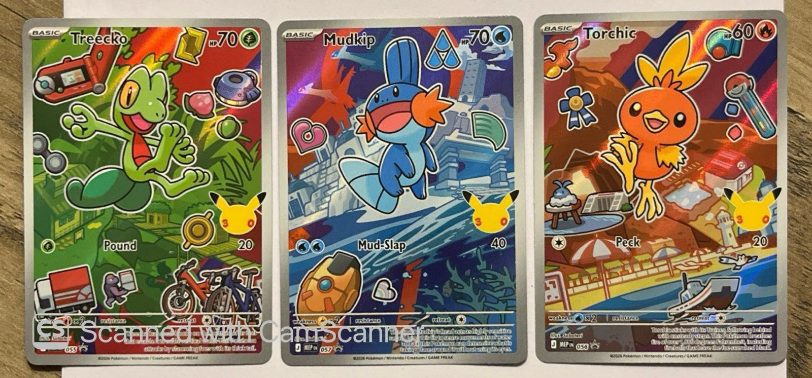Torchic, Mudkip And Treecko First Partner Torchic, Mudkip And Treecko First Partner