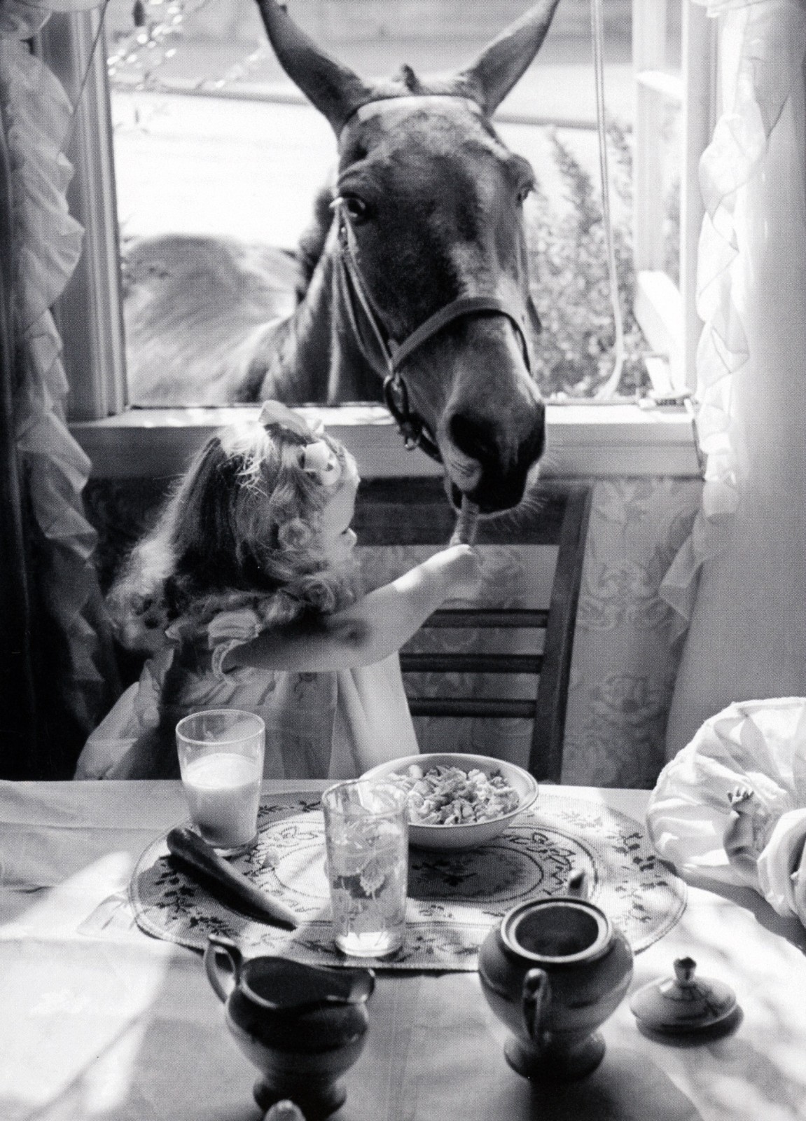 Cute THINKING OF YOU Card, Young Girl Feed Horse in Window by Avanti + Envelope