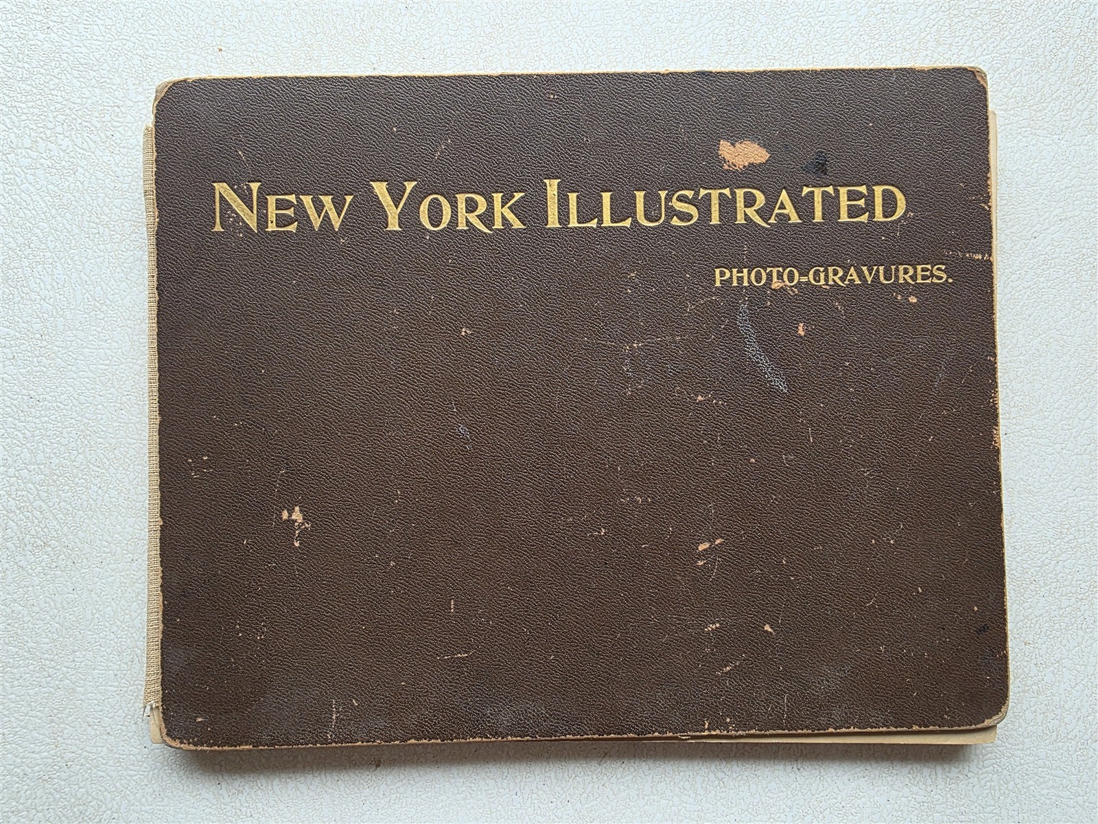 New York Illustrated Antique 1895 Book Portfolio of Photographs 24 Photogravures