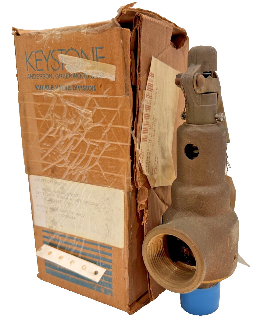 NEW KUNKLE 6010FE01-AM SAFETY RELIEF VALVE 6010FE01AM NEW KUNKLE 6010FE01-AM SAFETY RELIEF VALVE 6010FE01AM