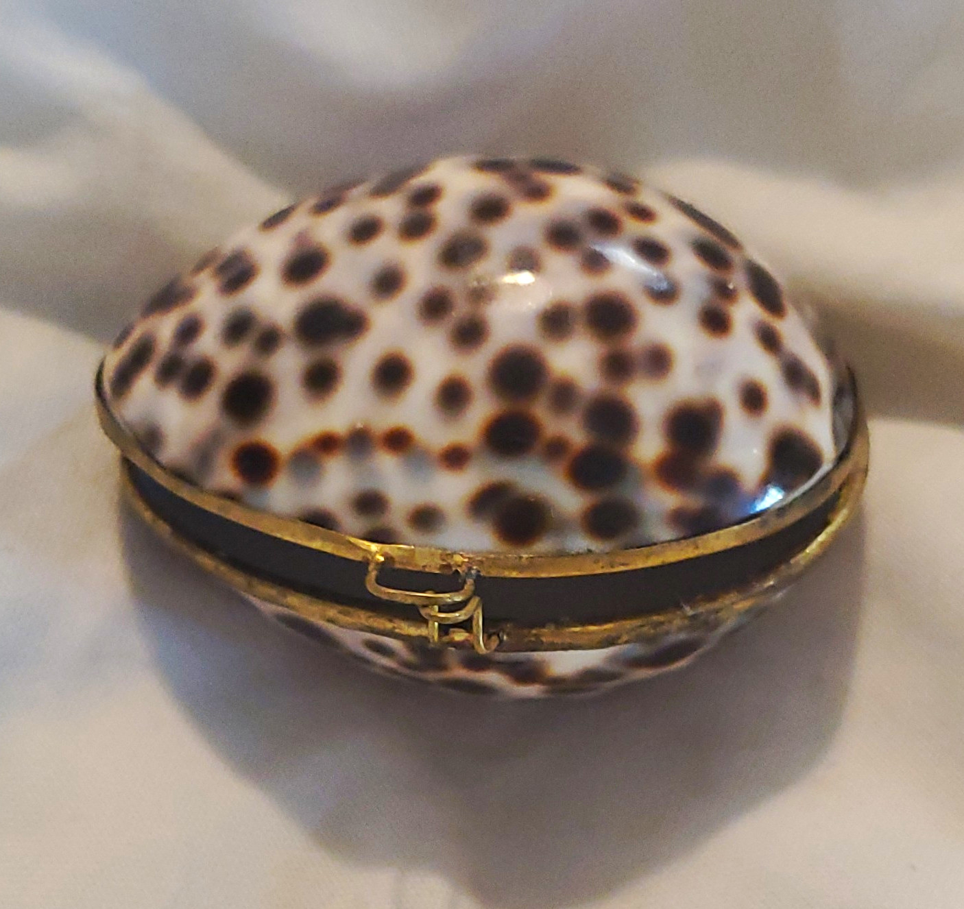 Vintage Tiger Cowrie Shell Jewelry Box Philippines