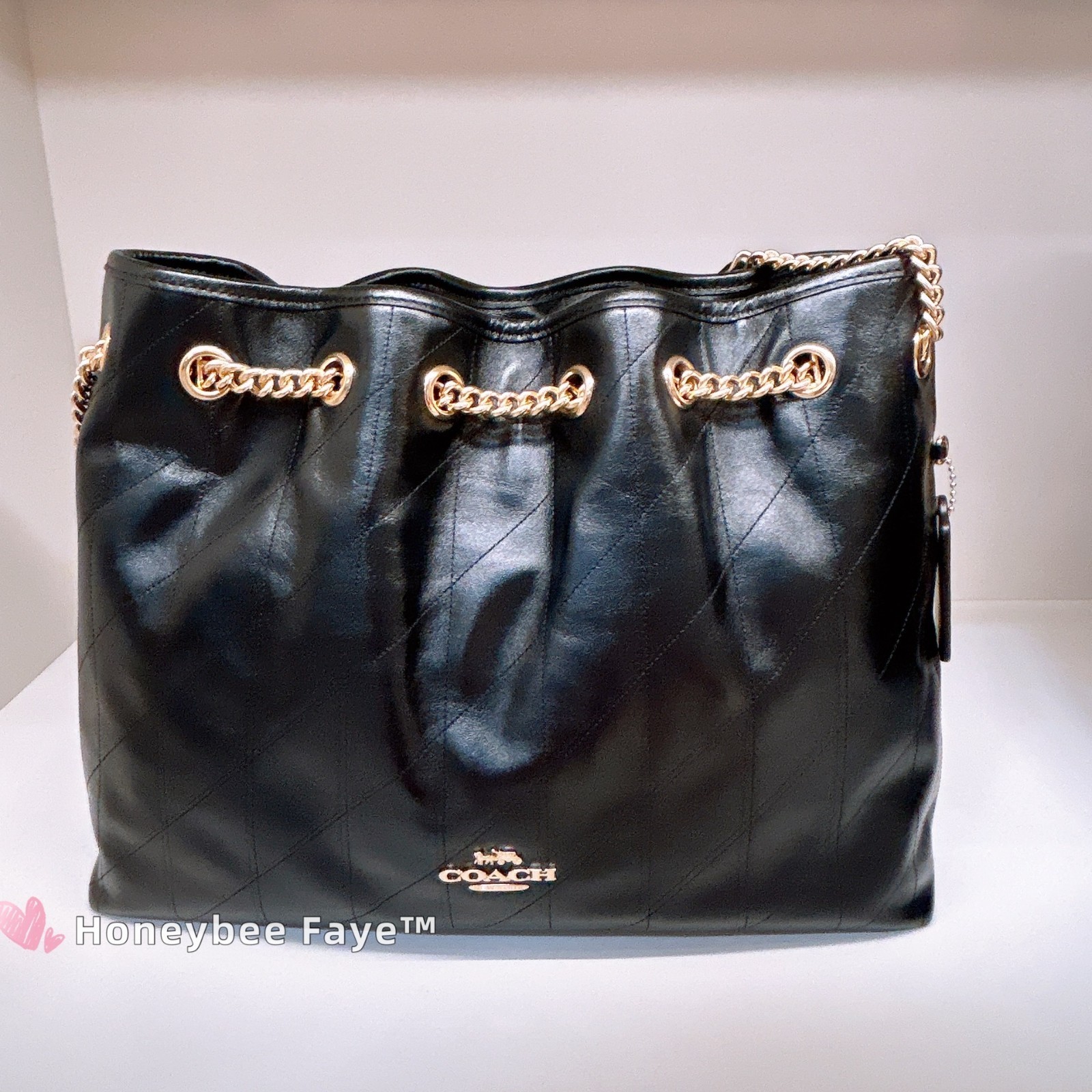 NWT Coach Evelyn Shoulder Bag With Quilting CDR00/CCZ80/CCZ79