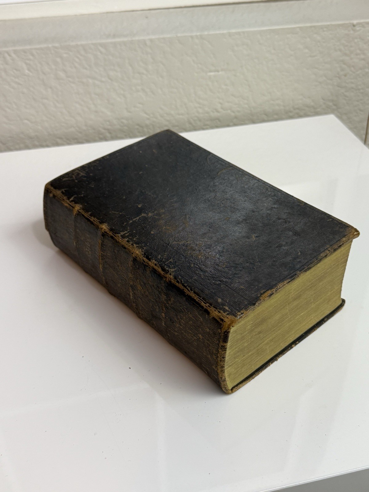 1847 German Luther Bible – Antique Canstein Halle Printing – Fraktur Script