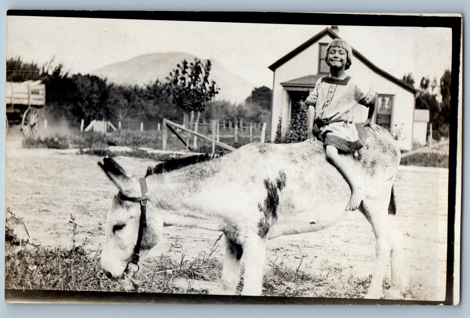 c1910's Child Girl Ride On Mule House Scene RPPC Photo Unposted Antique Postcard