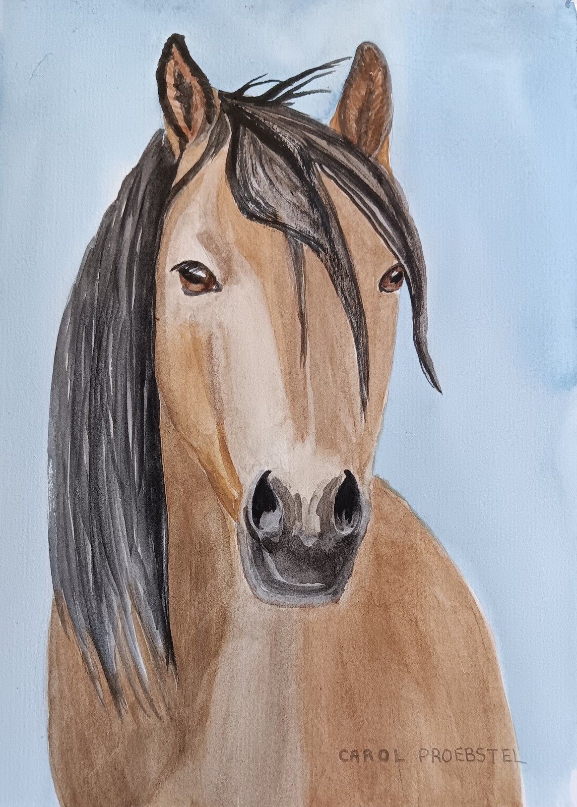 original watercolor painting buckskin horse mustang wildlife Carol Proebstel