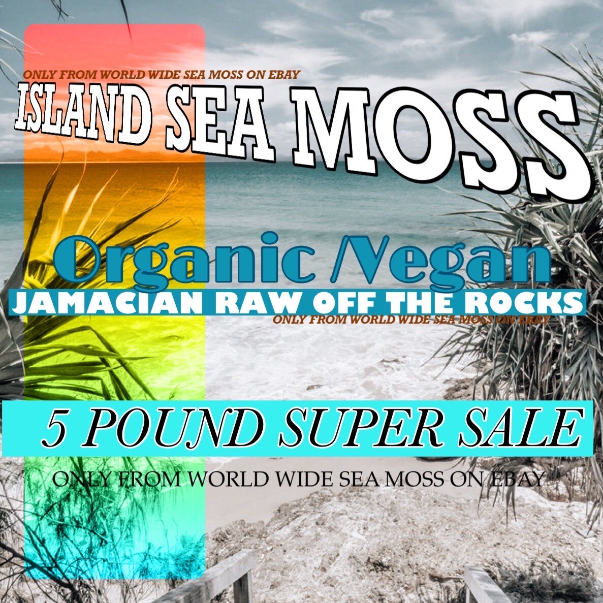 5 Pounds SEA MOSS ORGANIC/VEGAN RAW OCEAN HARVESTED😻Buy 3 Get 3.5 Pounds Free🔥