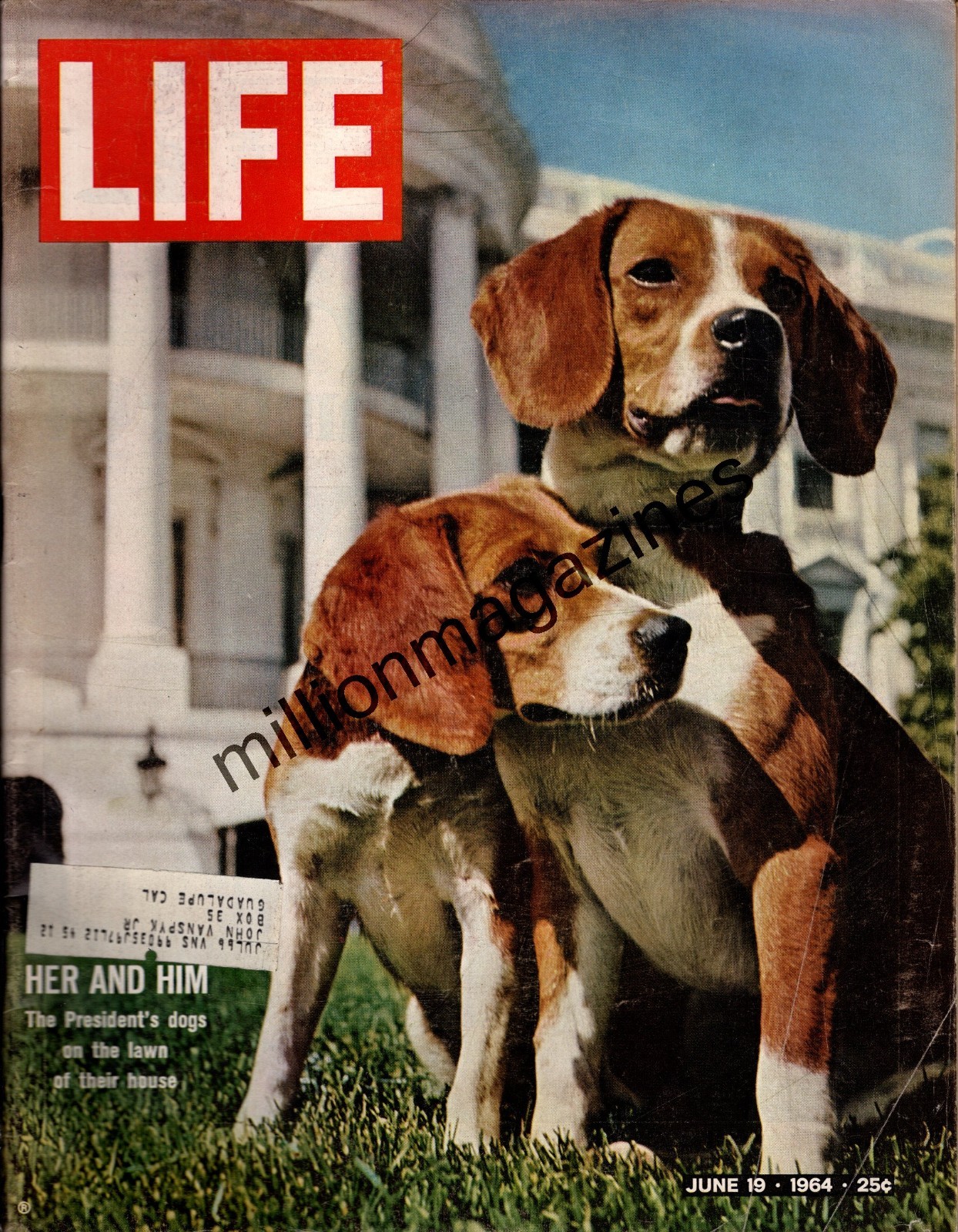1964 Life June 19 - LBJ\'s Beagles; Cassius Clay; Jill Kinmont; Shirley MacLaine