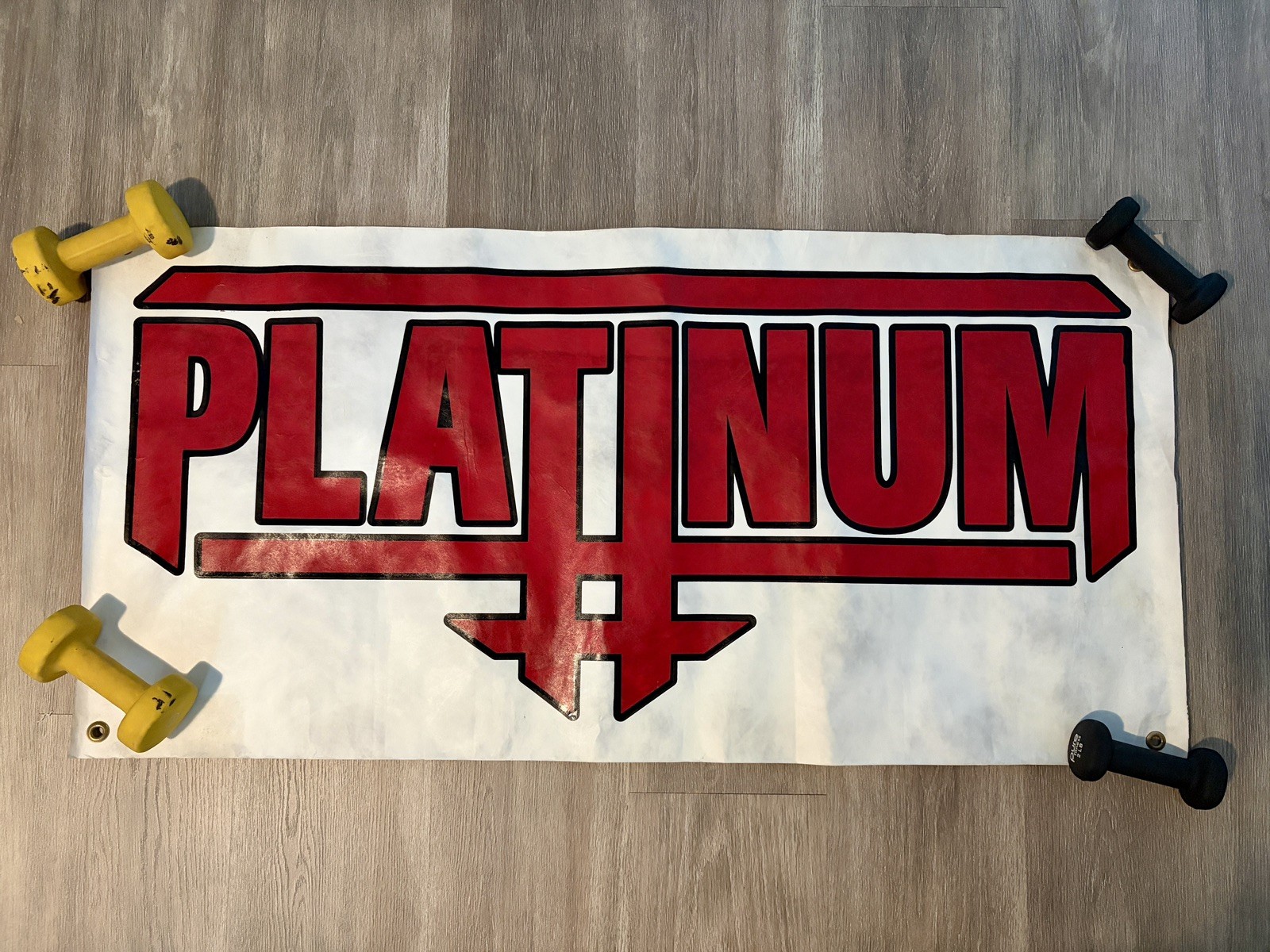 RARE Vintage 1990s Platinum Skateboards Banner 43”x21” Closed Skate Shop Display