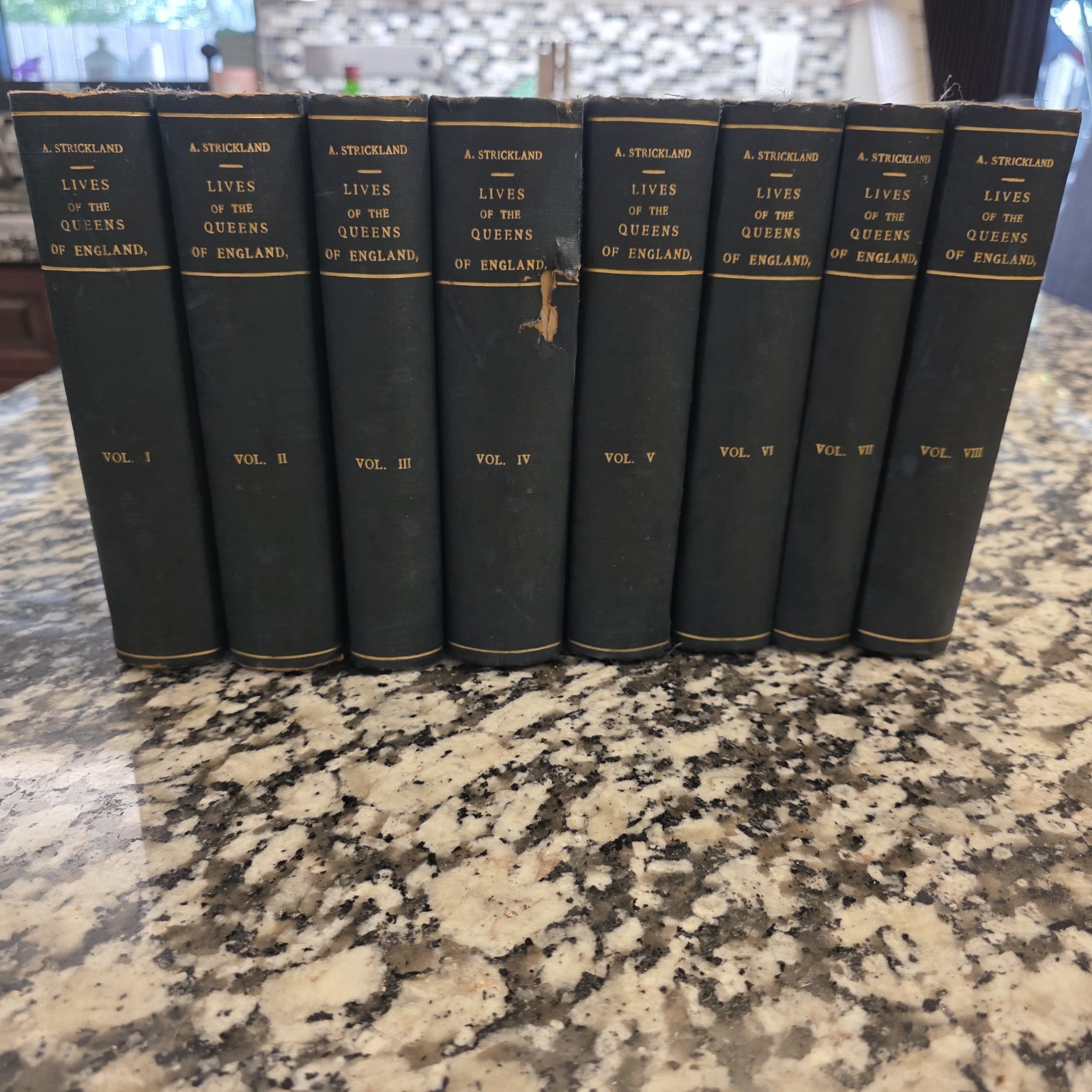 Lives of the Queens of England Agnes Strickland 8 Vol Set Complete 1851 RARE Lives of the Queens of England Agnes Strickland 8 Vol Set Complete 1851 RARE