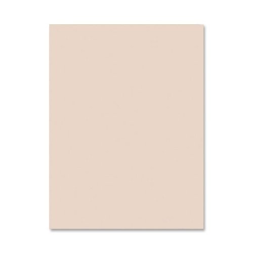 Pacon Tagboard Paper - 24\