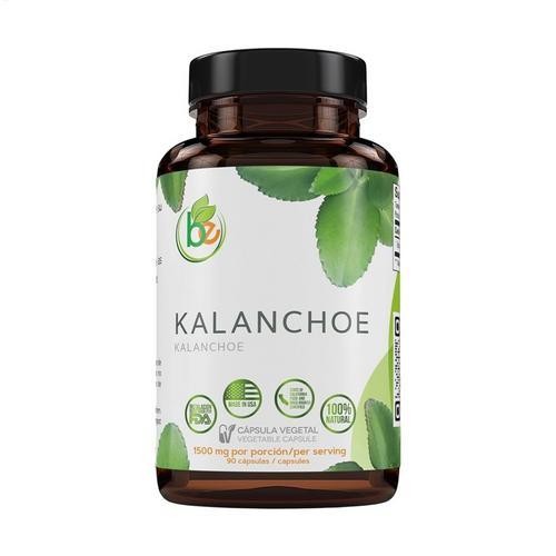 Kalanchoe Pinnata Forte(Leaf of Life) 90 Capsules (1500 mg per Serving)