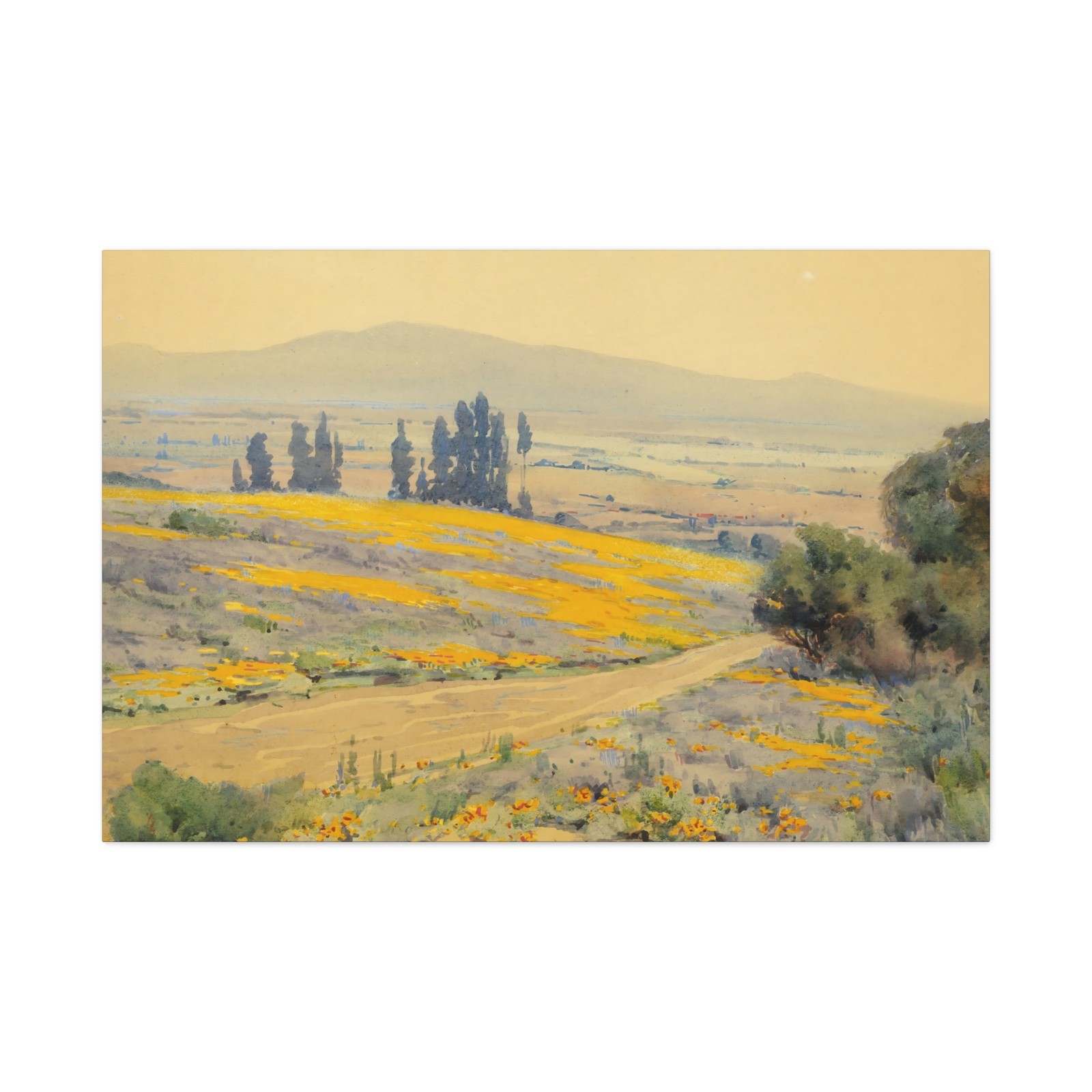 Elmer Wachtel, born Baltimore MD - California Spring Landscape - Canvas Wall Art