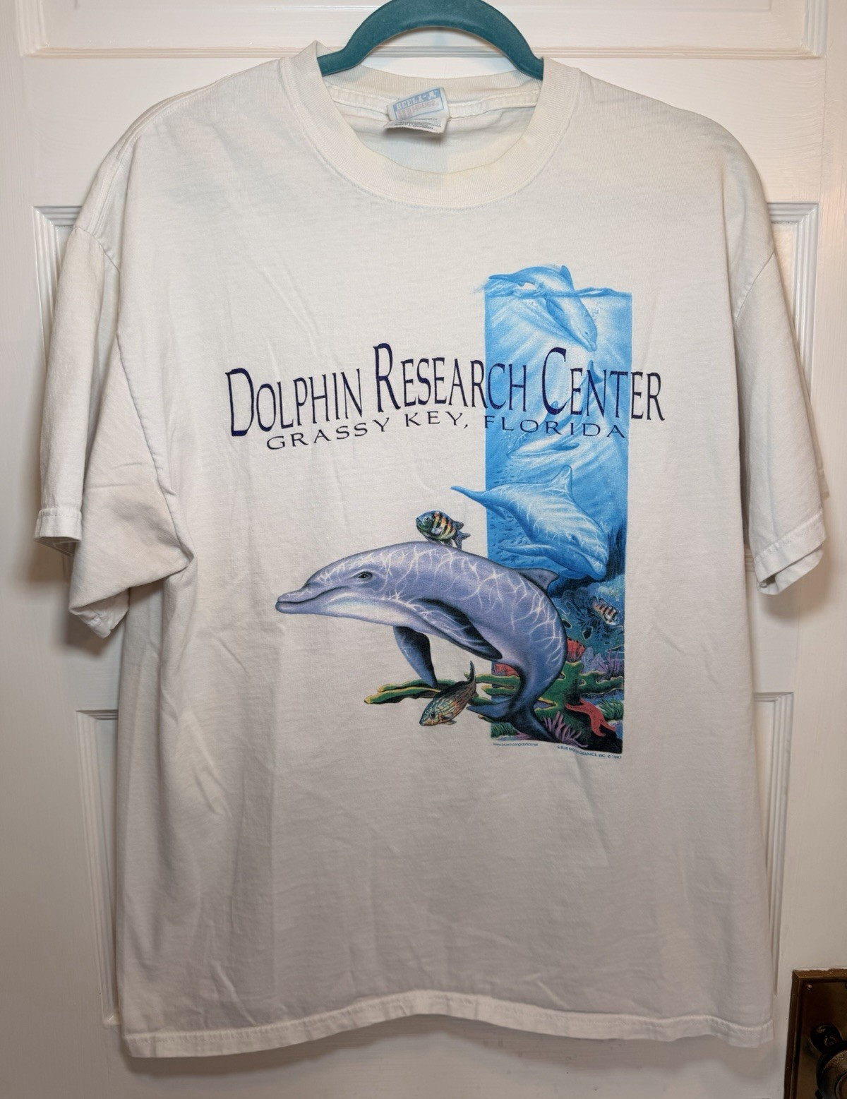 Vintage Hanes Beefy-T Dolphin Research Center Graphic Tee L Unisex