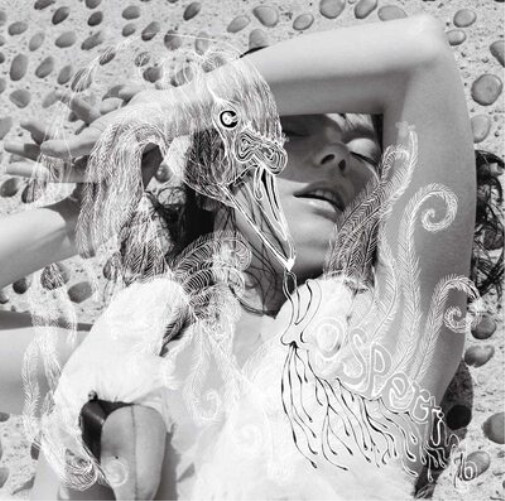 Björk Vespertine (Vinyl) 12