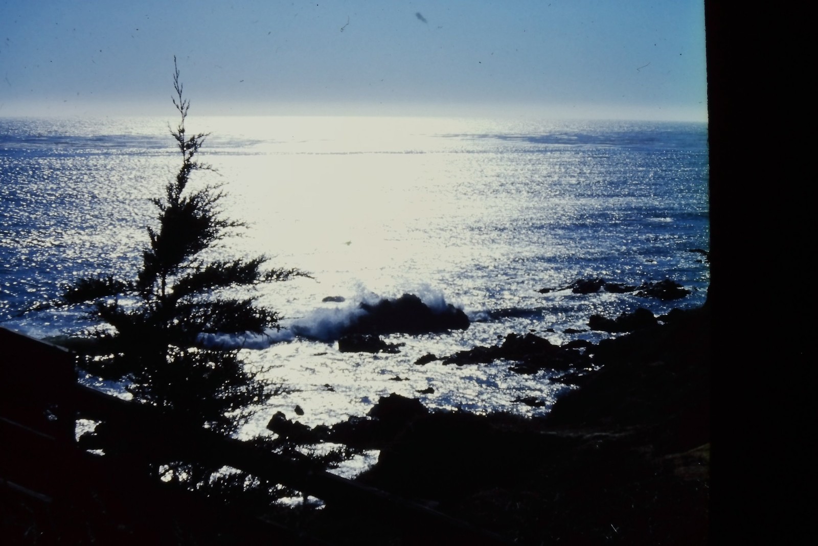 1978 Ektachrome 35mm Slide, Cambria California Coast, Pine Tree Kodak Ocean