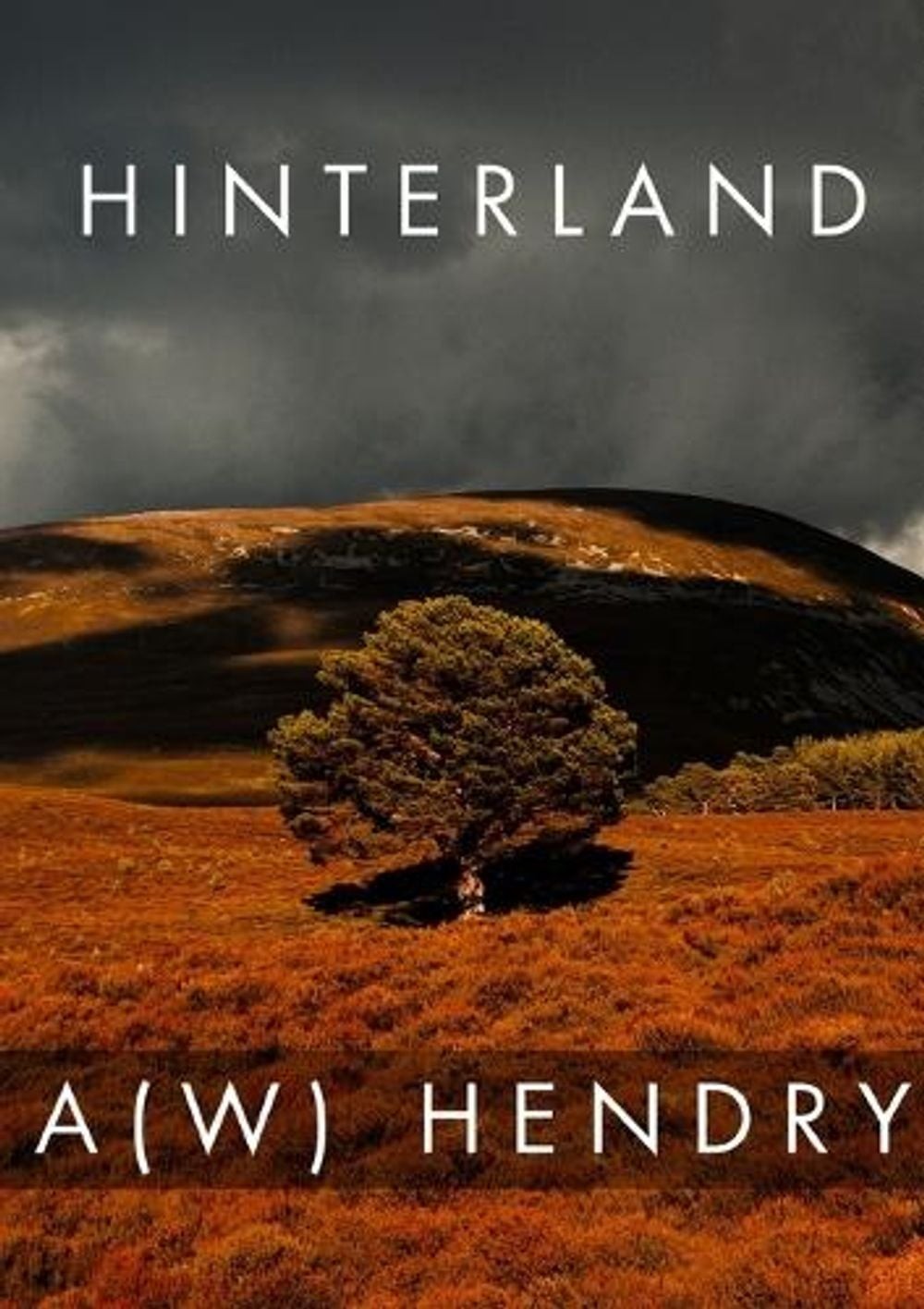 Hinterland by A. Hendry (English) Paperback Book