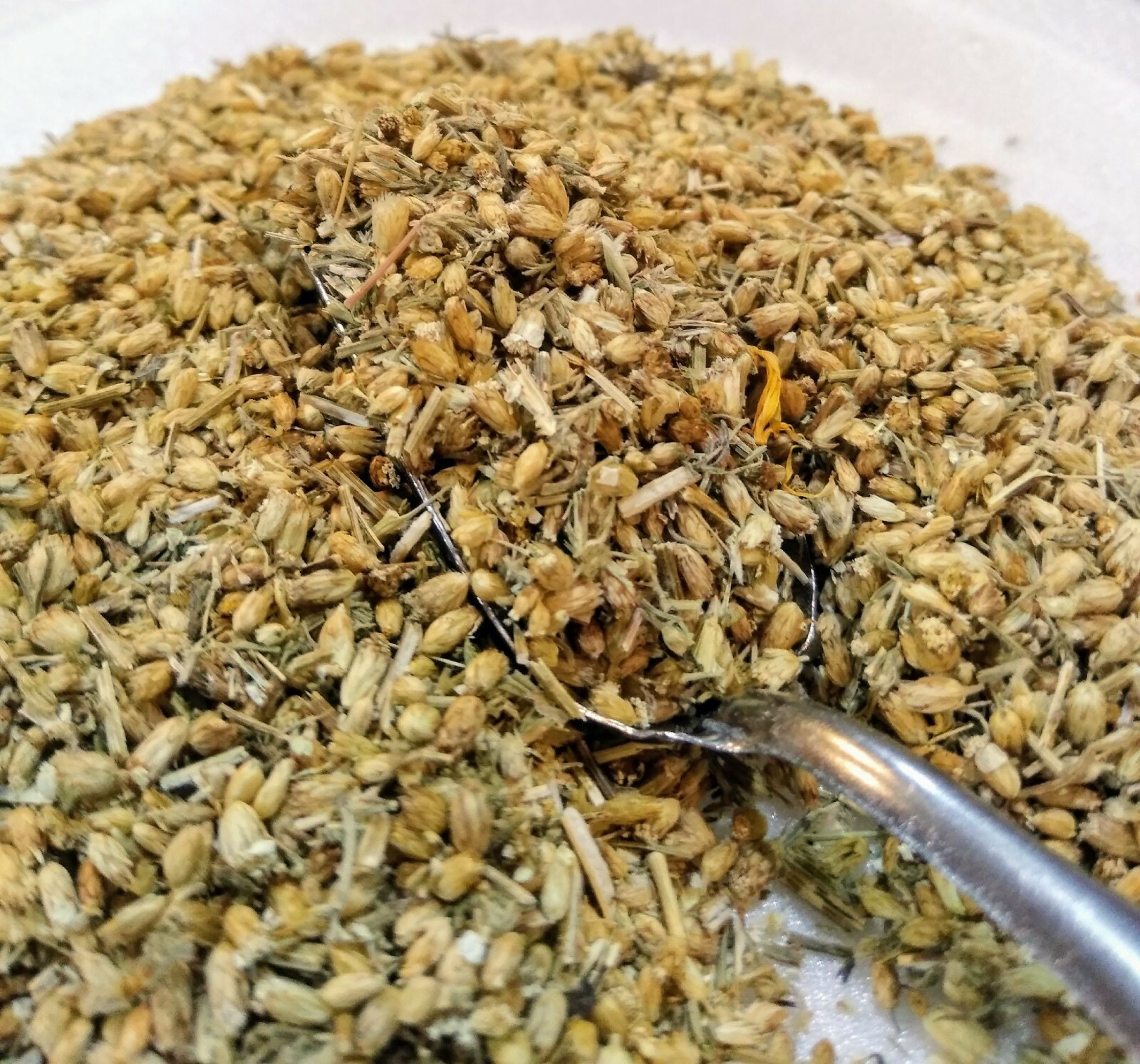 Yarrow herb (Achillea Millefolium) Organic dried 1 oz wound healing,Circulation