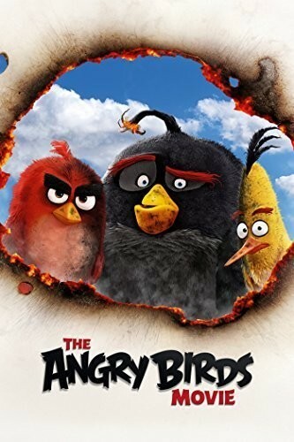 The Angry Birds Movie (DVD, 2016) Rdbx Disc Only 4245 