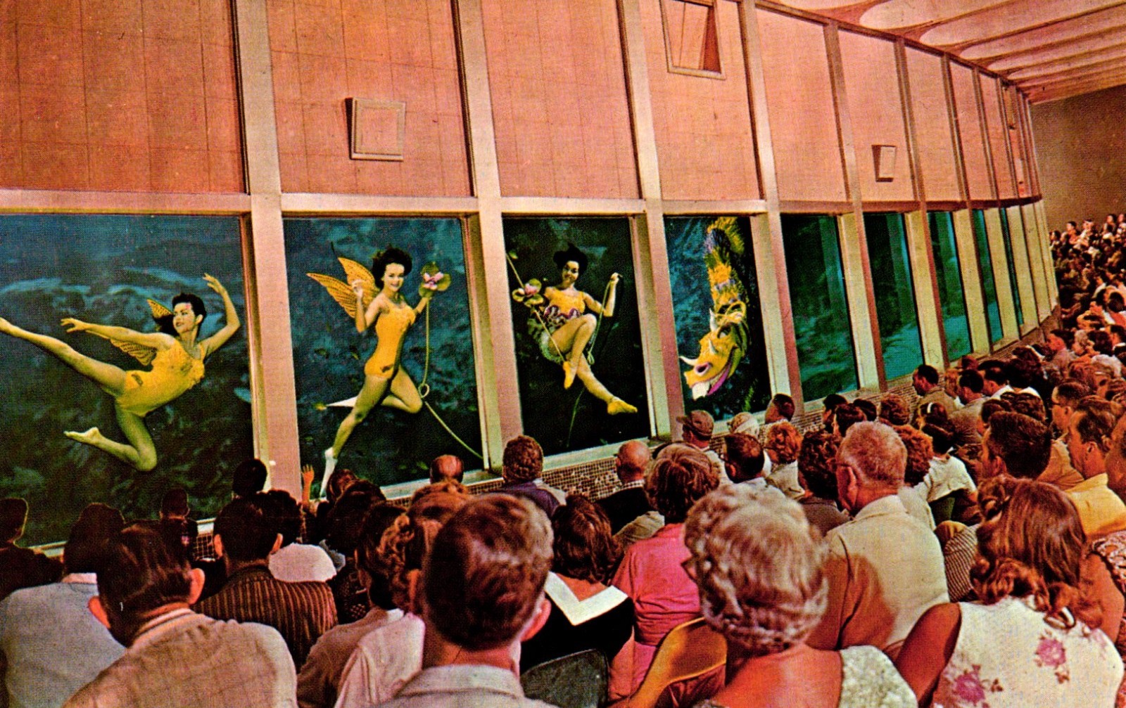 Weeki Wachee Mermaids Florida Postcard Weeki Wachee Mermaids Florida Postcard