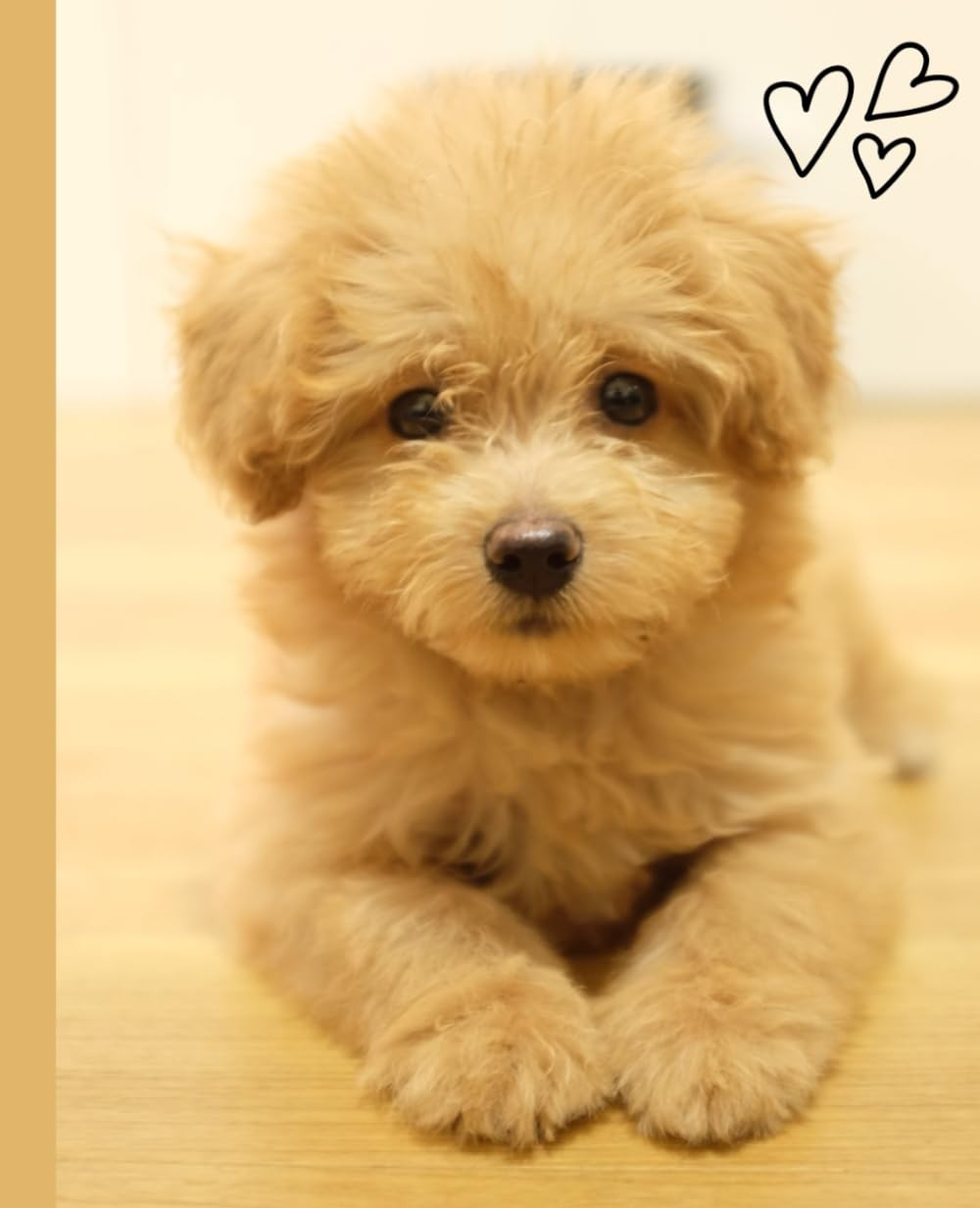 Cute Dog - Maltipoo Notebook Cute Dog - Maltipoo Notebook