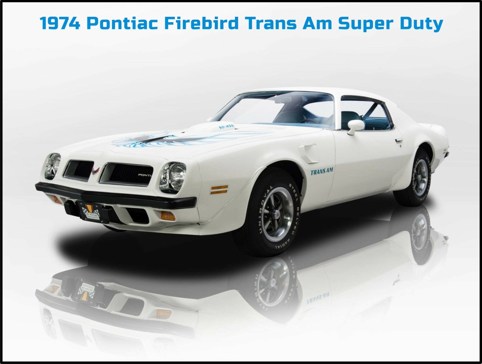 1974 Pontiac Firebird Trans Am NEW Metal Sign: Large Size 12 x 16