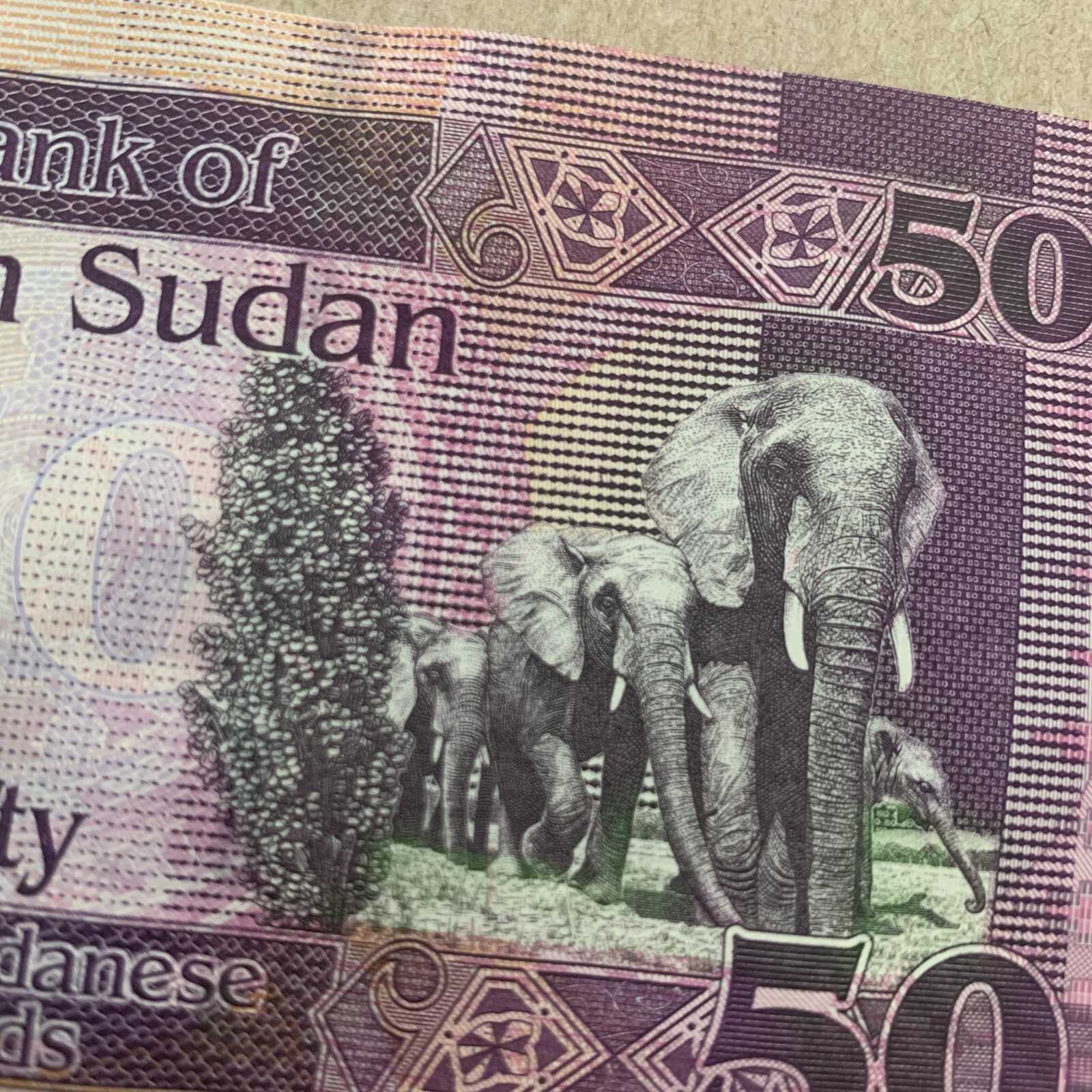Elephant Family South Sudan 50 Pound Banknote 2019 Sudanese Currency Paper Money