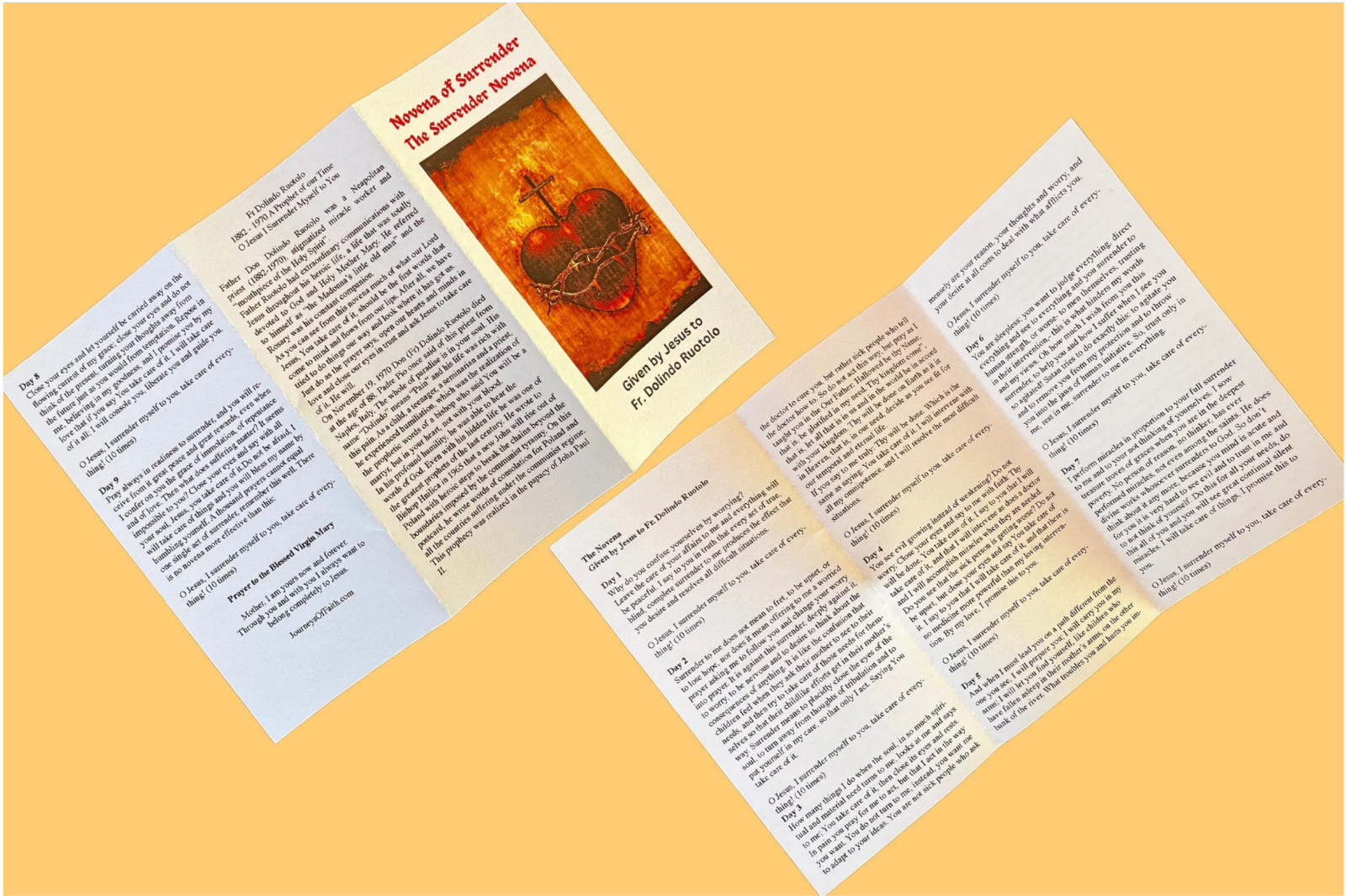 Surrender Novena to the Will of God Trifold Holy Card
