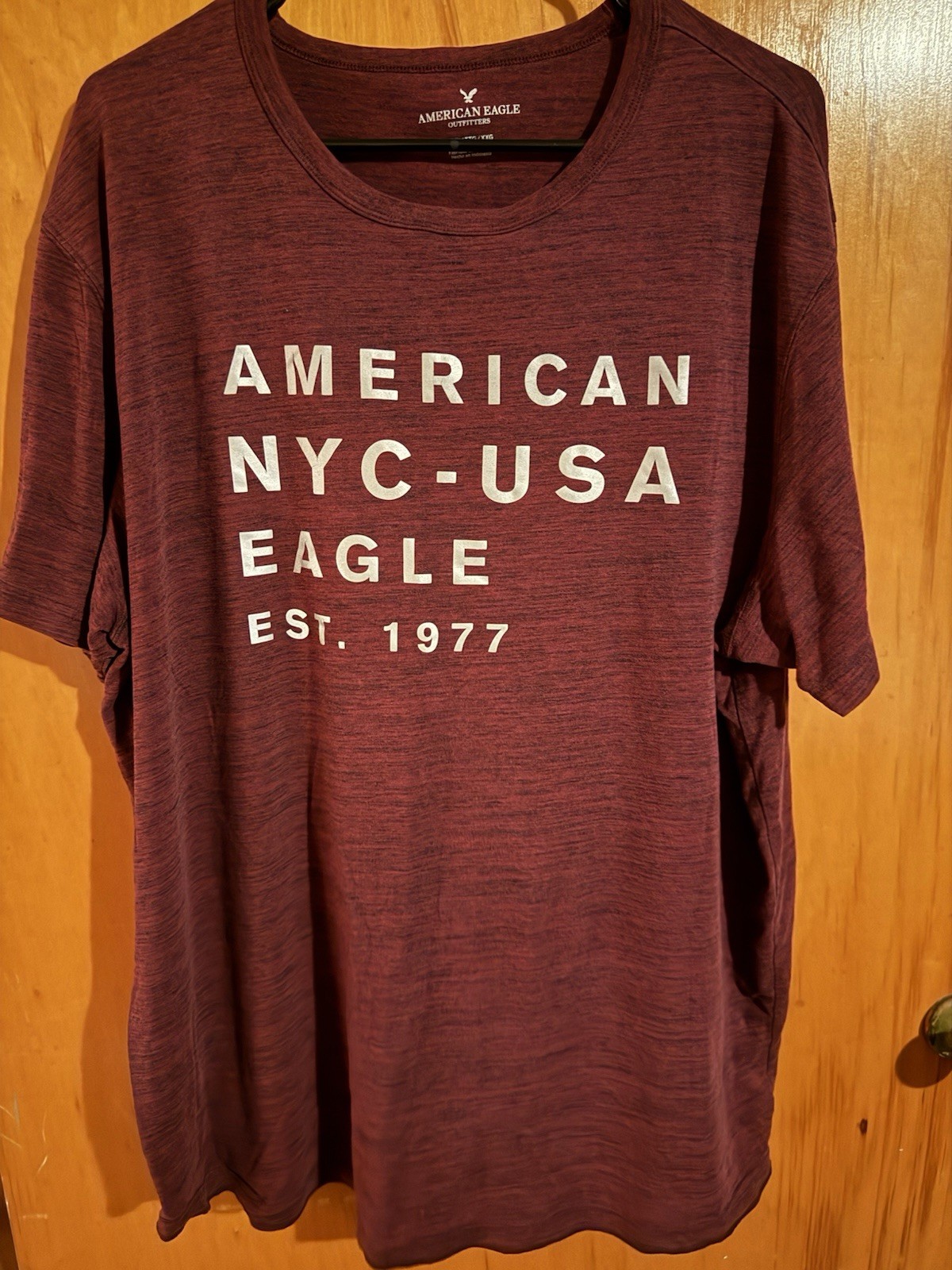 American Eagle Outfitters Burgundy Graphic Logo Cotton Tee Men’s 2XL