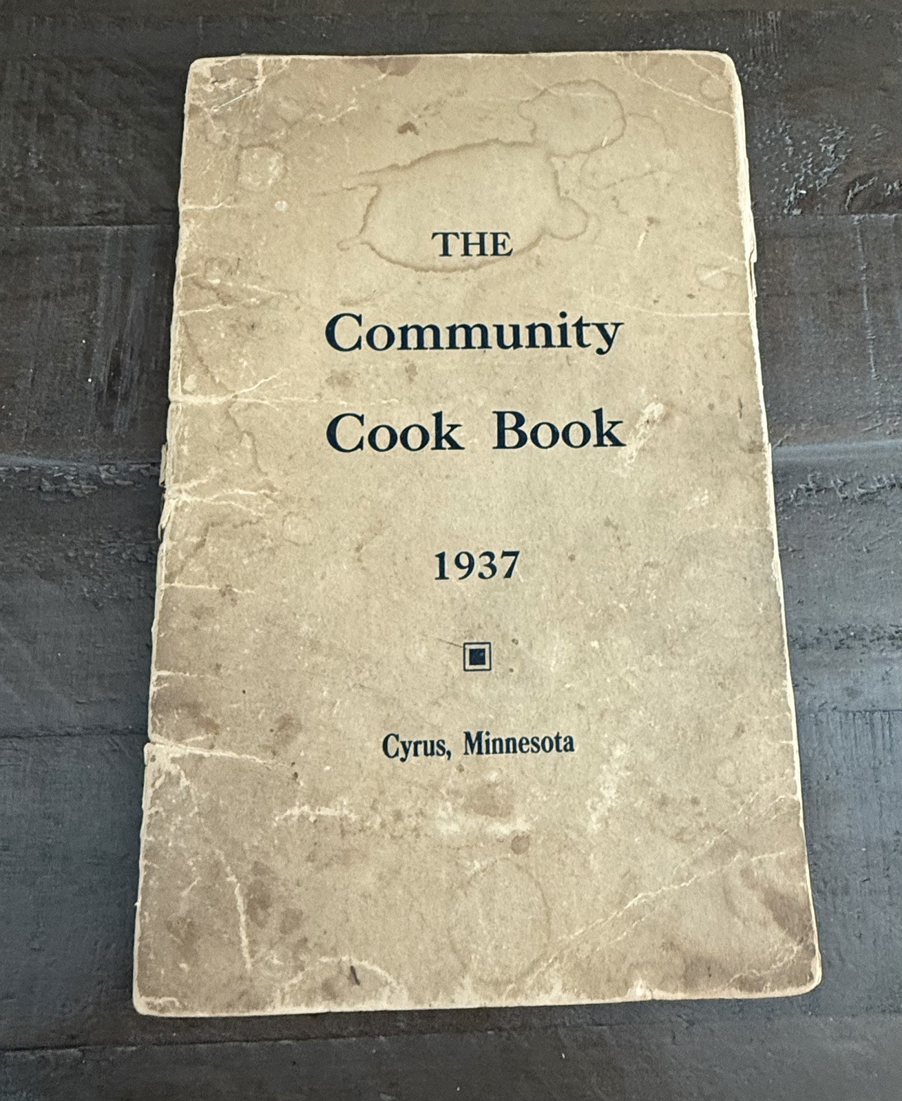 1937 Community Cook Book Cyrus Minnesota Vintage Recipes Handwritten Ephemera