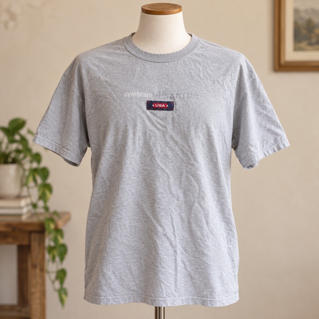 Vintage 2001 USA Celebrate America Graphic T-Shirt Gray Adult Large L 50/50