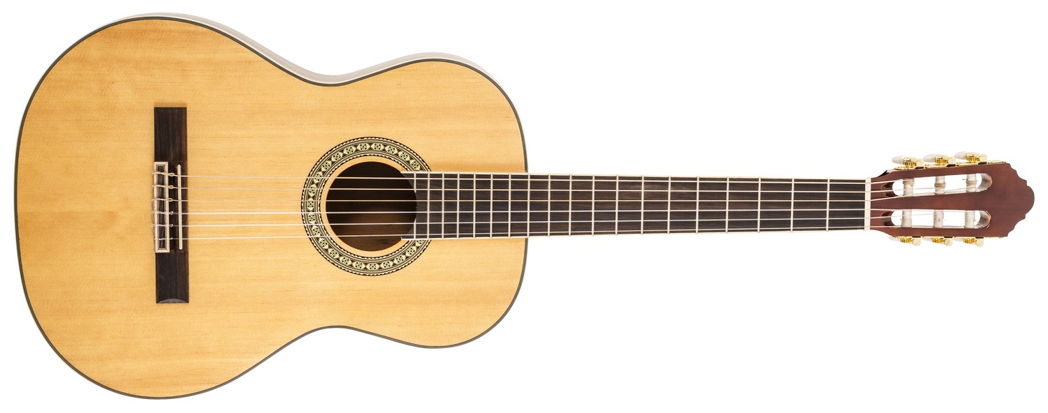 Peavey Delta Woods CNS-2 Full-Size Classical Nylon String Acoustic Guitar
