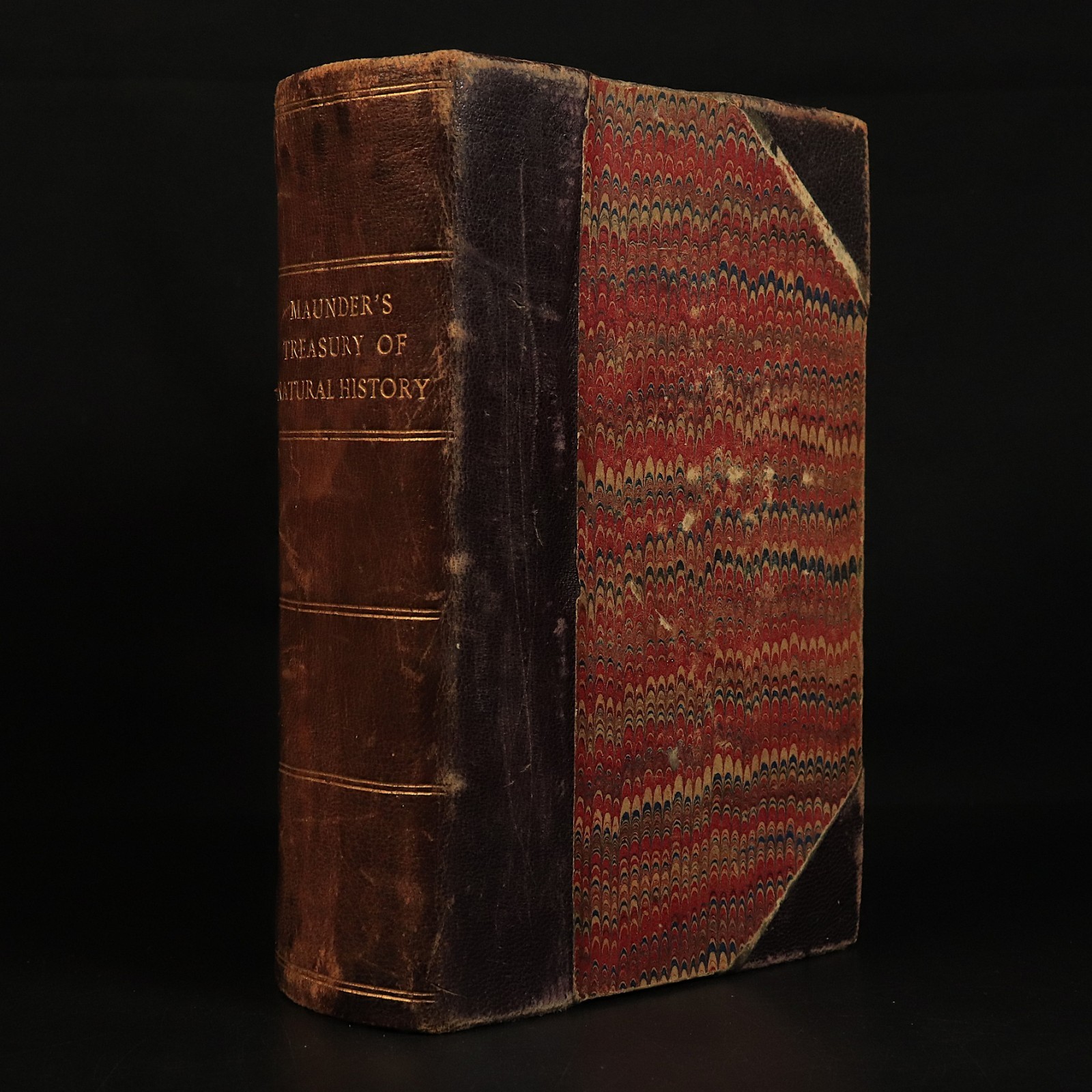 c1888 Maunder\'s Treasury Of Natural History Antique Leather Science Book
