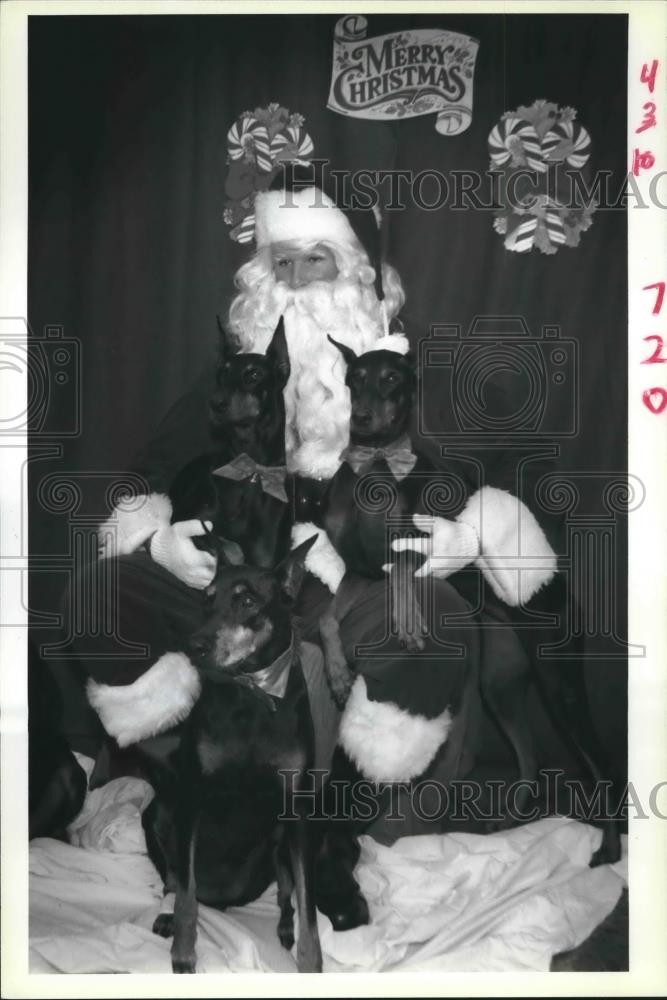 1988 Press Photo 3 Dobermans pose with Santa Paws at Chateau Veterinary Hospital