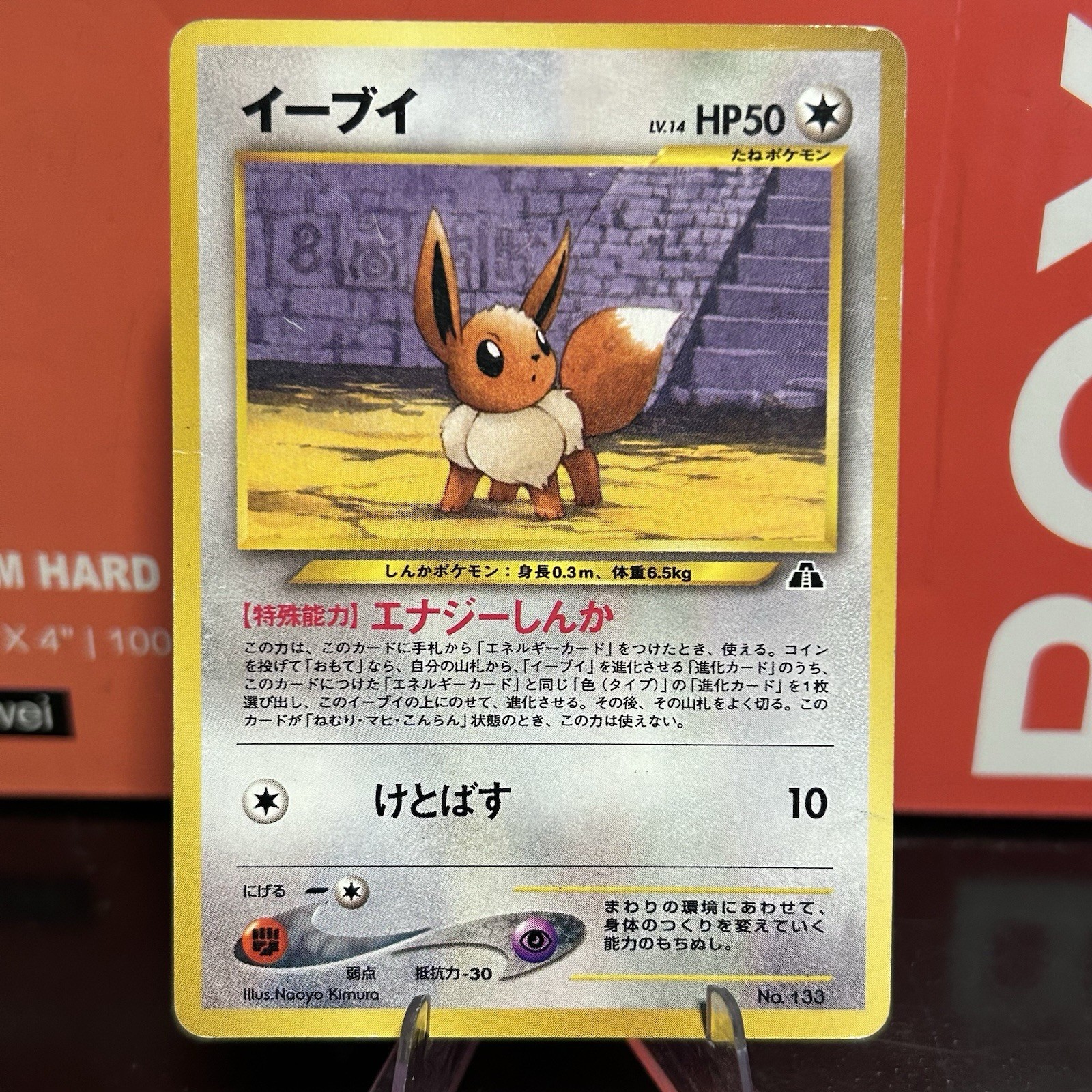 Eevee - Neo Premium File 2 - No. 006 - LP Eevee - Neo Premium File 2 - No. 006 - LP
