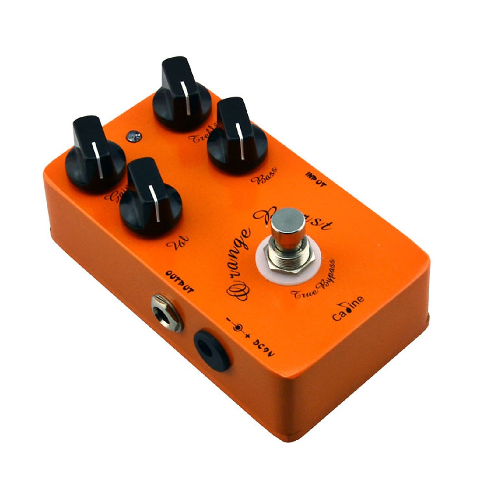 Caline CP-18 \'ORANGE BURST\