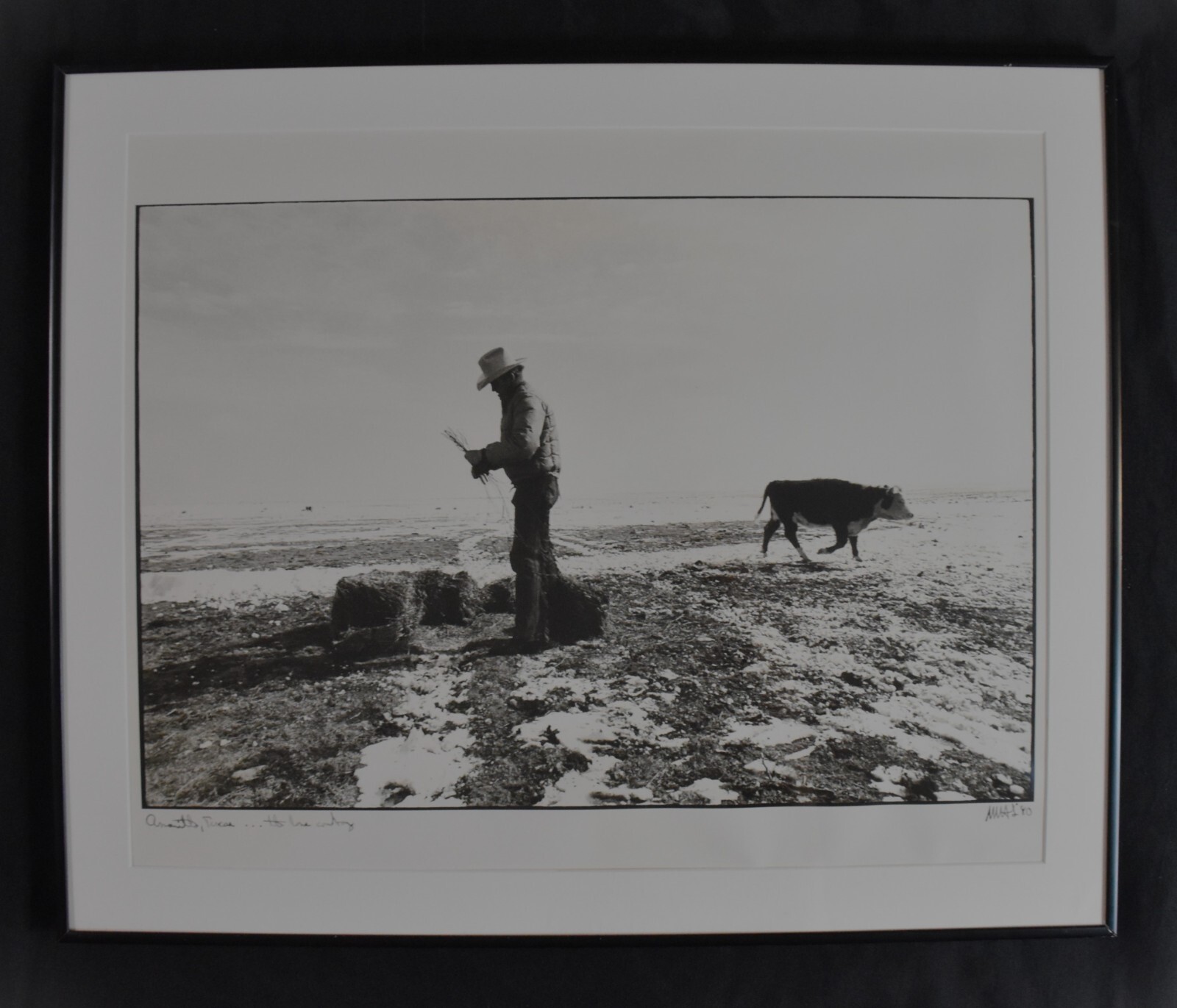 Vtg. Martin HM Schreiber \ Vtg. Martin HM Schreiber \
