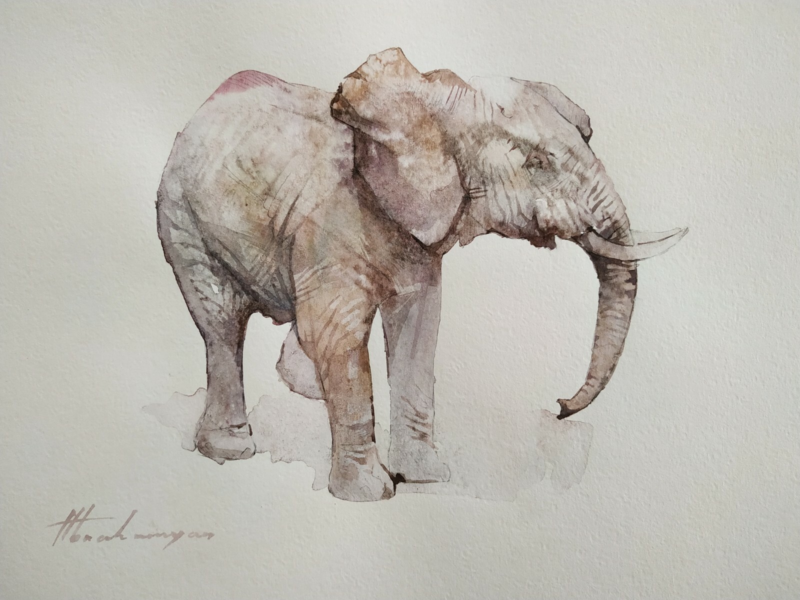 Elefant, Animal, Watercolor artwork, Handmade, Original painting on paper Elefant, Animal, Watercolor artwork, Handmade, Original painting on paper