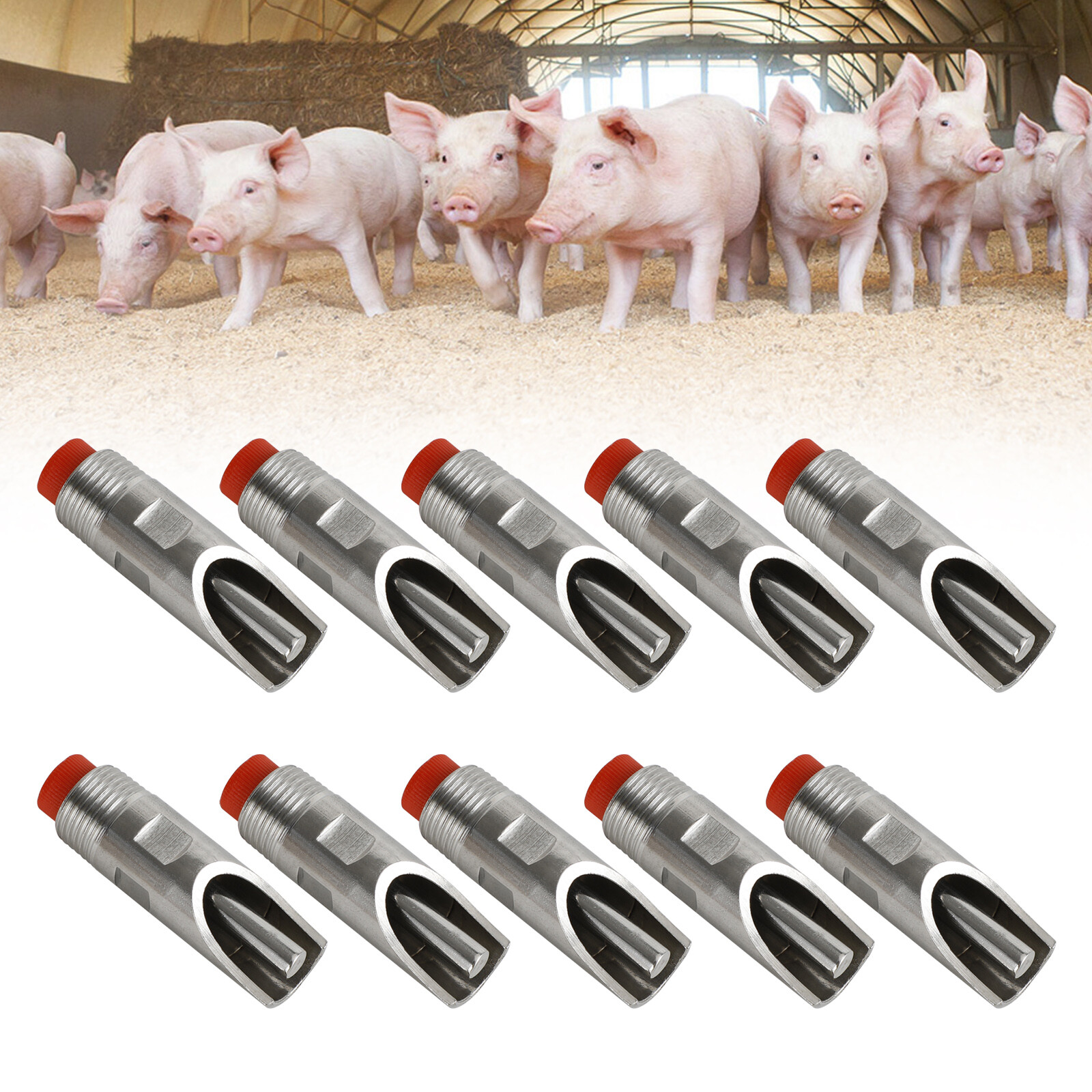 10Pcs Stainless Steel 1/2\