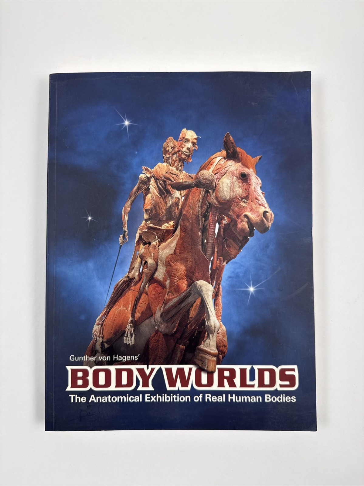 Body Worlds: Anatomical Exhibition of Real Human Bodies - Hagens - Sealed & New Body Worlds: Anatomical Exhibition of Real Human Bodies - Hagens - Sealed & New