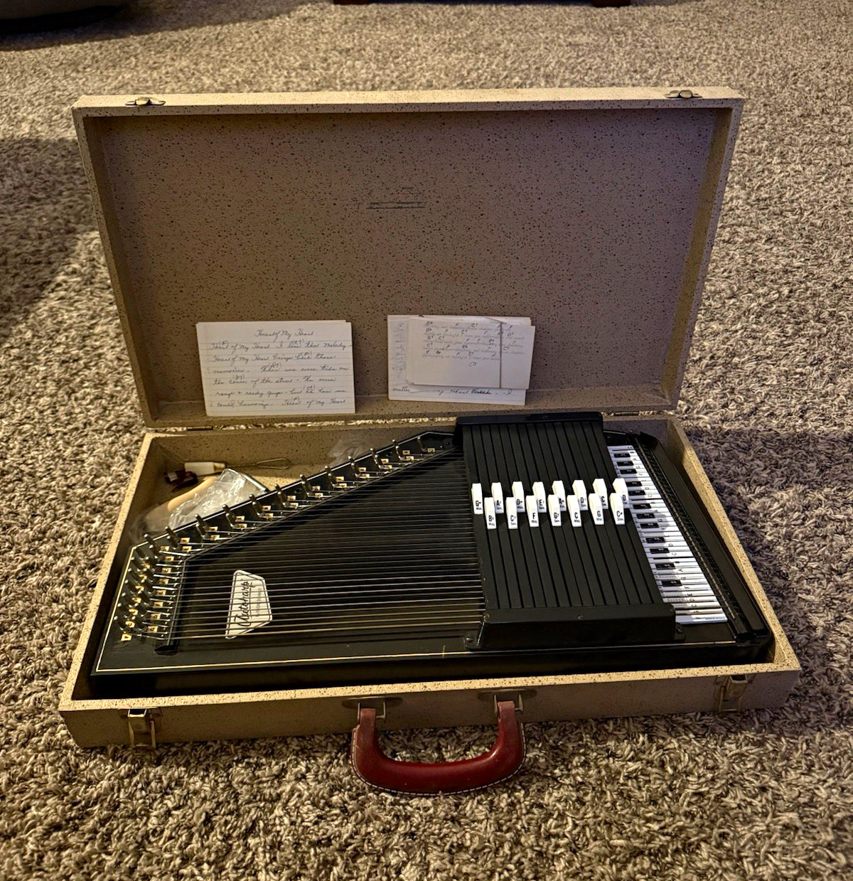 Vintage Oscar Schmidt Autoharp 21-Chord 36-String w/ Original Hard Case & more