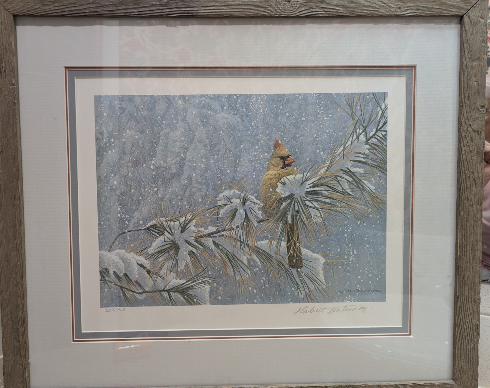 Robert Bateman Winter Lady Cardinal Signed Framed Print Edition 339/950 Robert Bateman Winter Lady Cardinal Signed Framed Print Edition 339/950