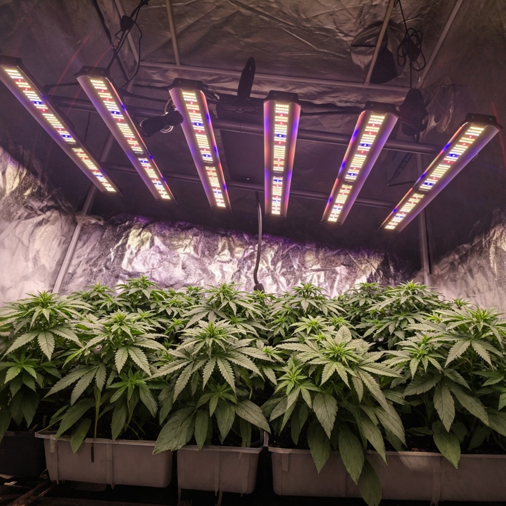 BA5000W Spider w/LM281B LED Grow Lights 6Bar Full Spectrum 2.9Umol/j Hydroponics