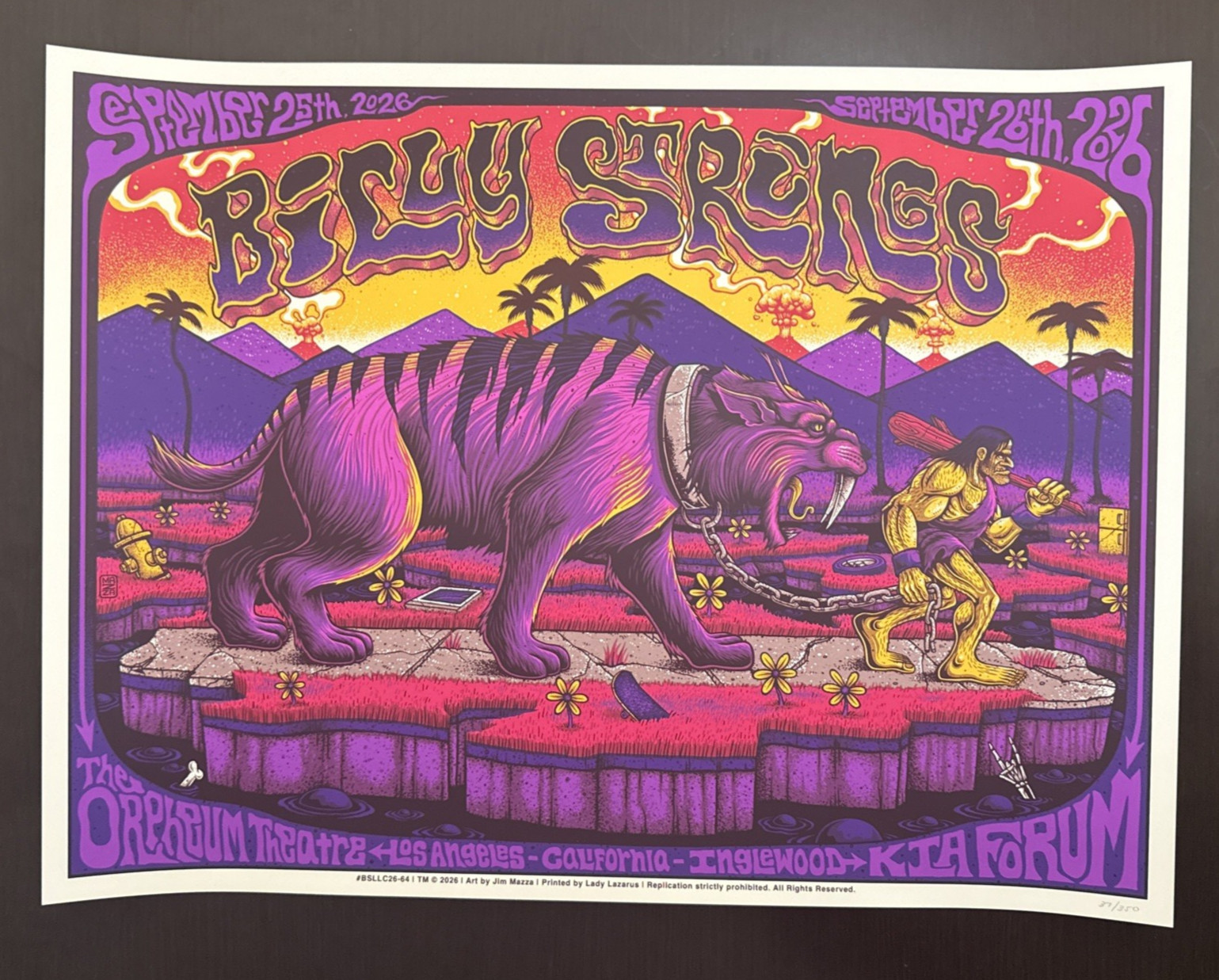 OFFICIAL BILLY STRINGS CONCERT POSTER ORPHEUM KIA LOS ANGELES MAZZA  PRINT