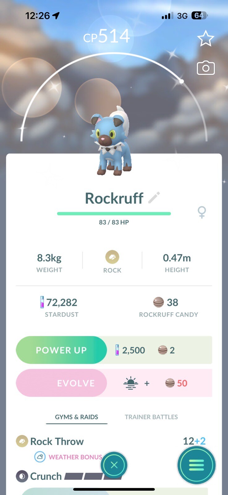 Shiny Rockruff - Can evolve Lycanroc (Dusk Form) - mini P T C