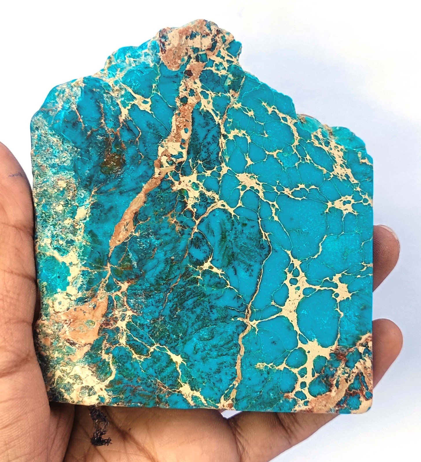 609.0 Ct Natural Sky-Blue Turquoise Slab Rough EGL Certified Loose Gems 6YGN