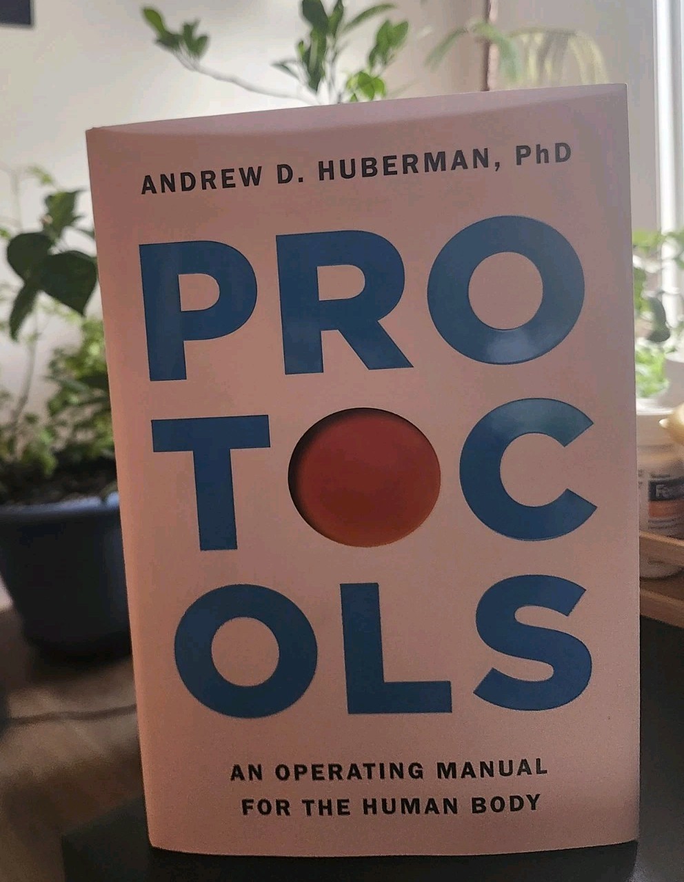 Protocols Exclusive Protocols Exclusive